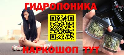 jwh Кандалакша