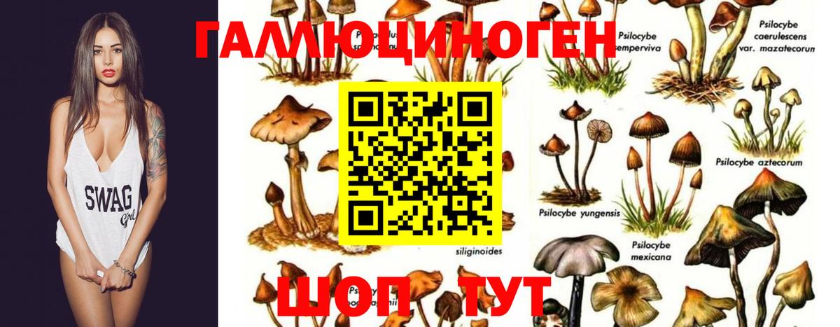 Южно-Сахалинск  Псилоцибиновые грибы мицелий  Вход с VPN  Галлюциногенные грибы мухоморы 