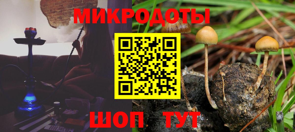 Галлюциногенные грибы мицелий Южно-Сахалинск